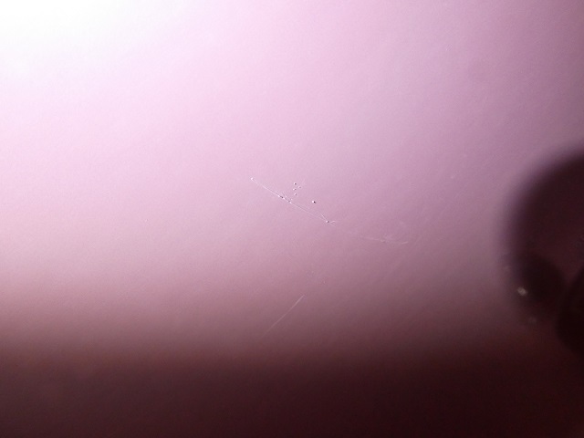 P1007825.JPG