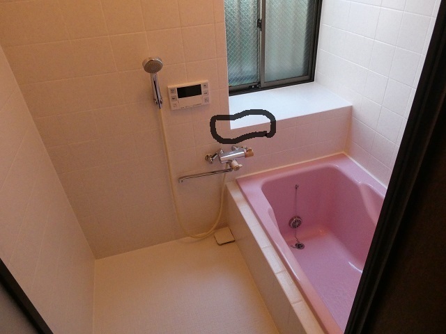 P1008027-3.jpg