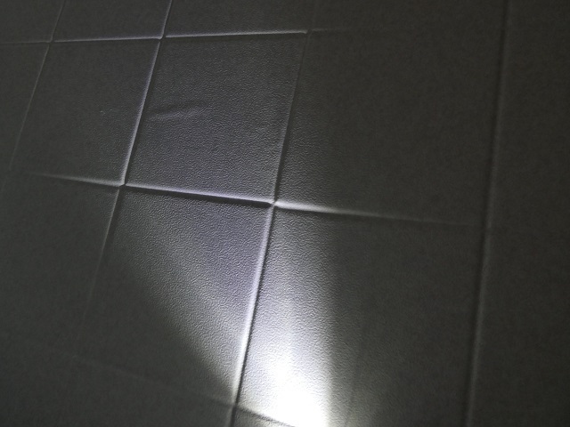 P1008028.JPG
