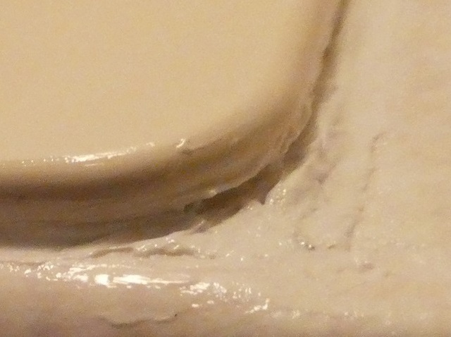 P1008086-3.jpg