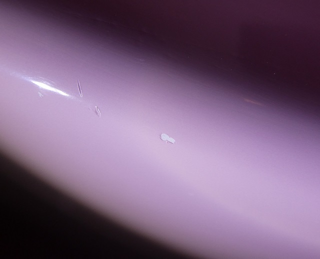 P1008175.JPG